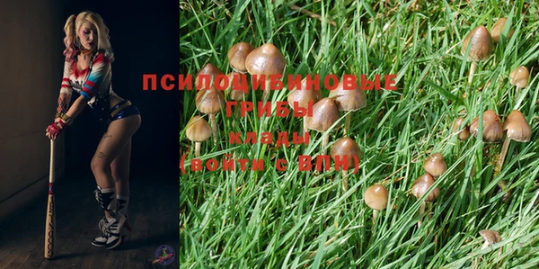 мдпв Белоозёрский