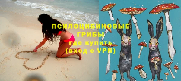 apvp Белокуриха